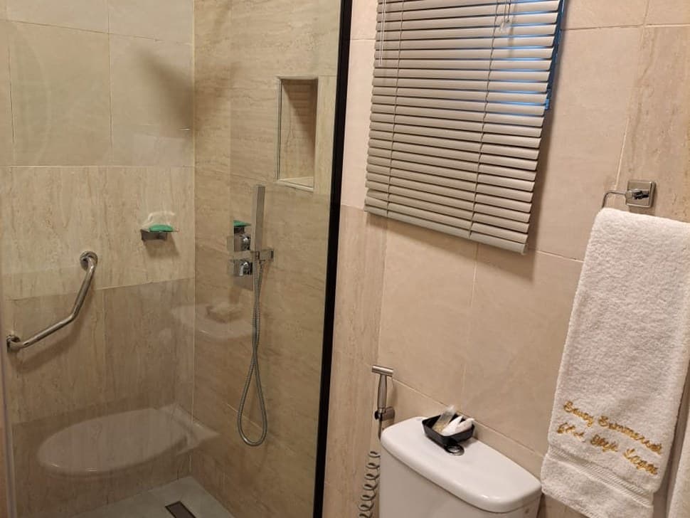 Guest bathroom shower